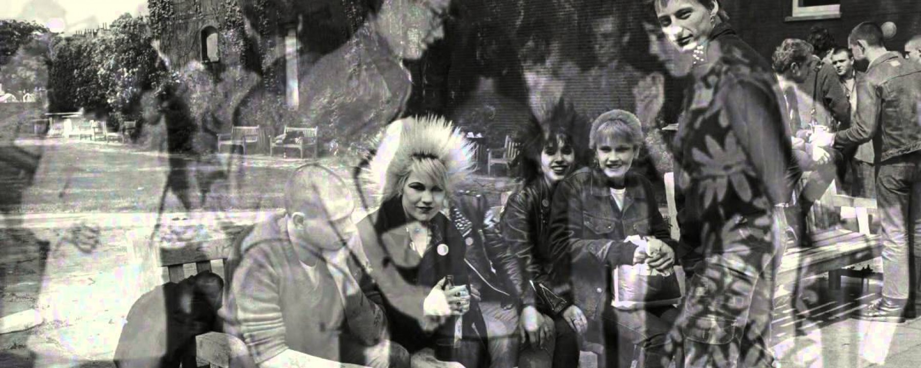 cropped punks cabecera