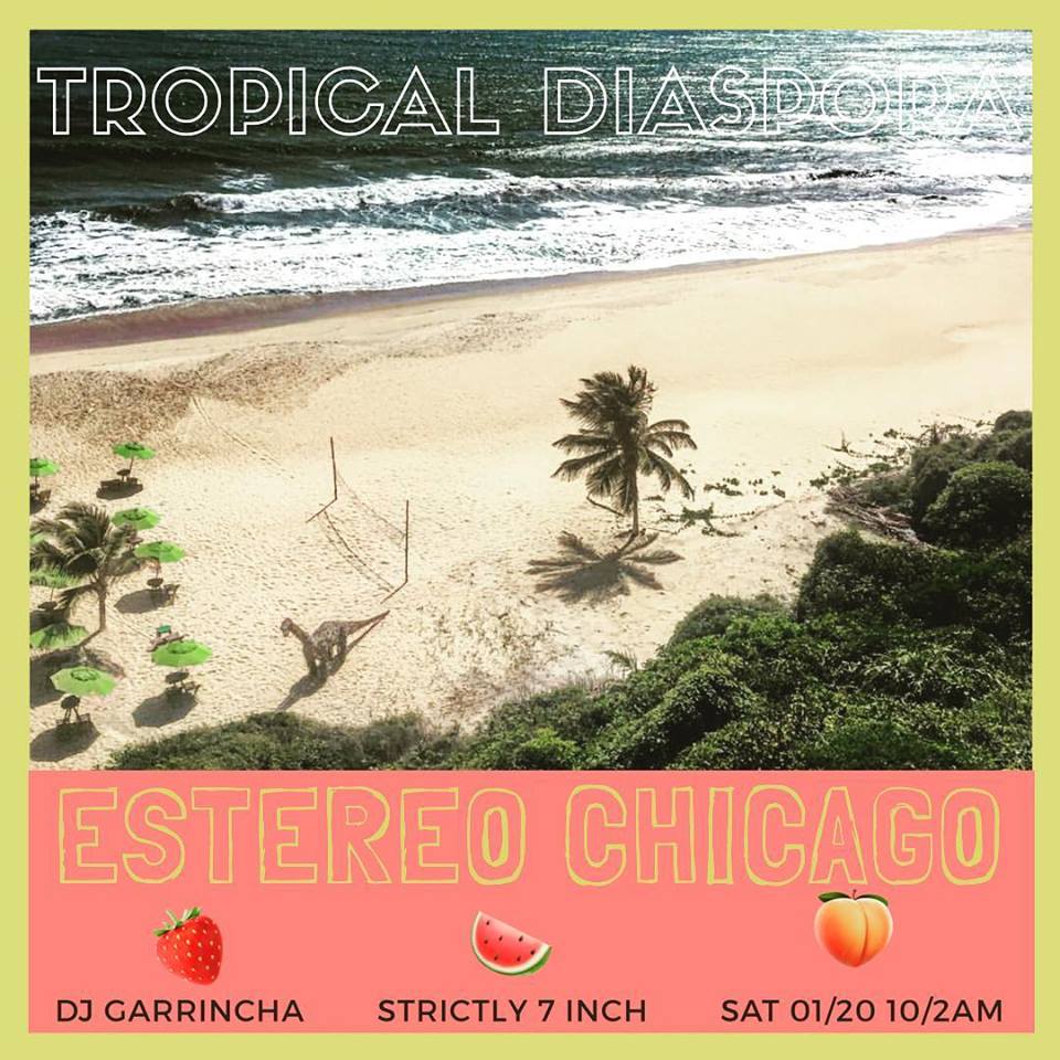 200118 estereo chicago