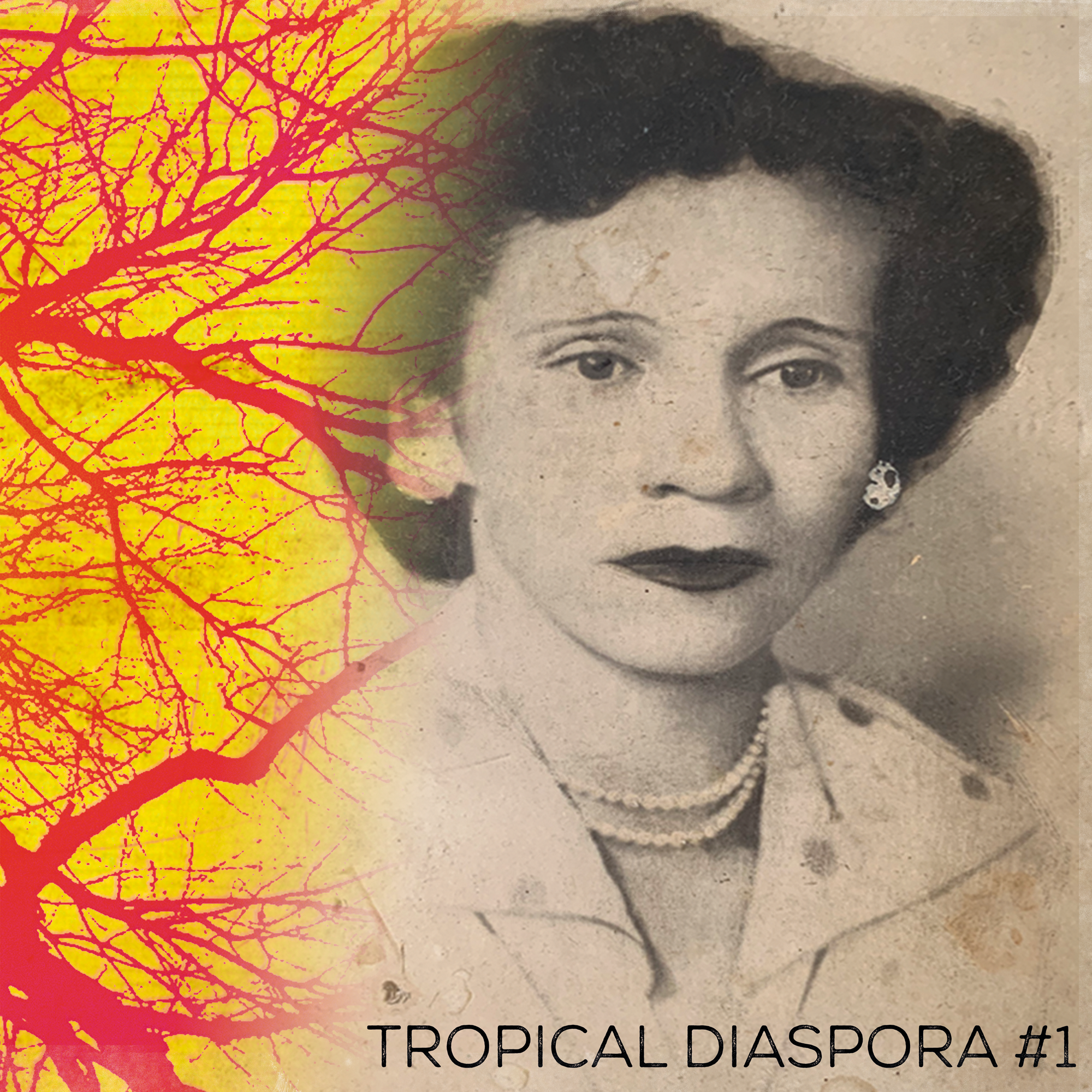 TDR010 Cover Front TDR010 Cover Front