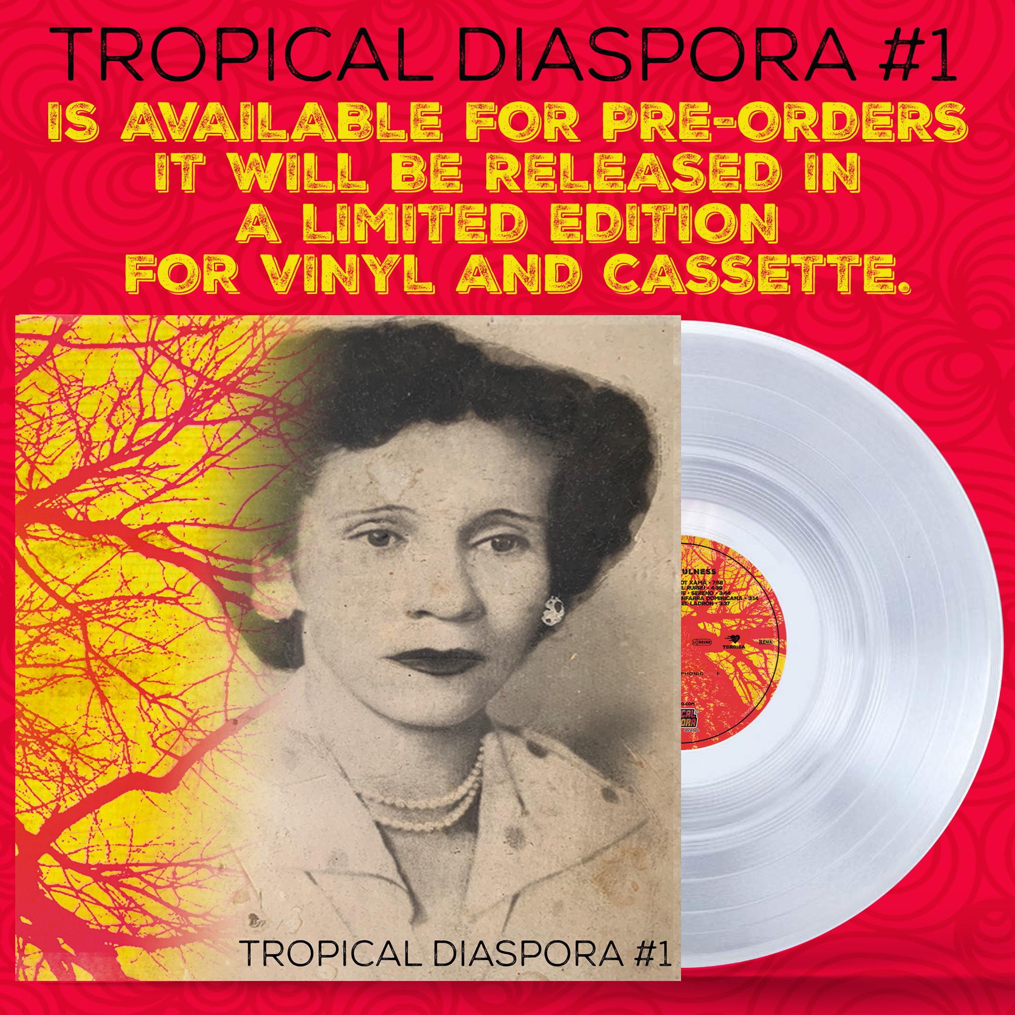 INSTA TDR010 RGB 1000x v3 INSTA TDR010 RGB 1000x v3