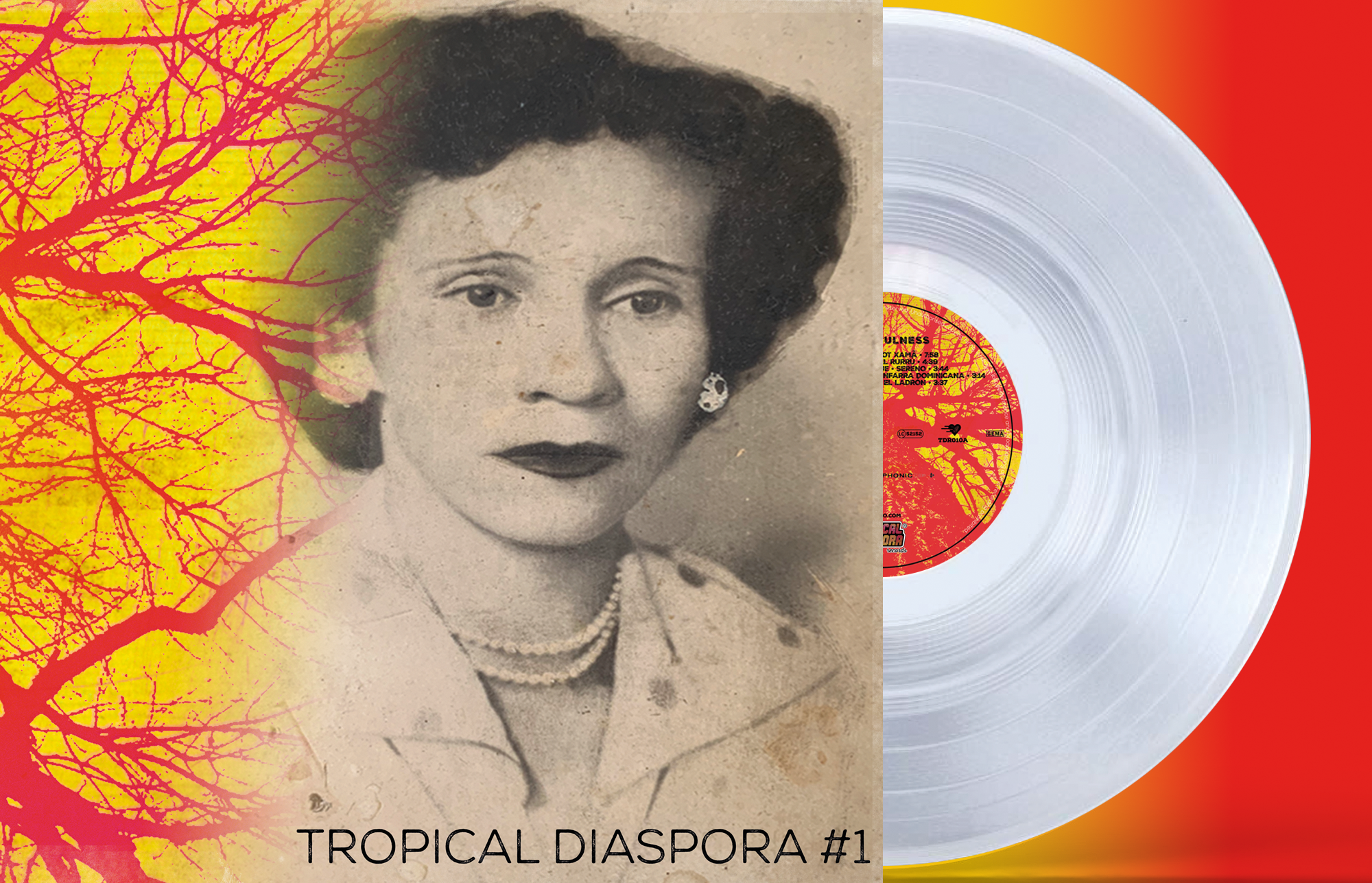 TDR010 Slider RGB 2000x 300x v1 TDR010 Slider RGB 2000x 300x v1