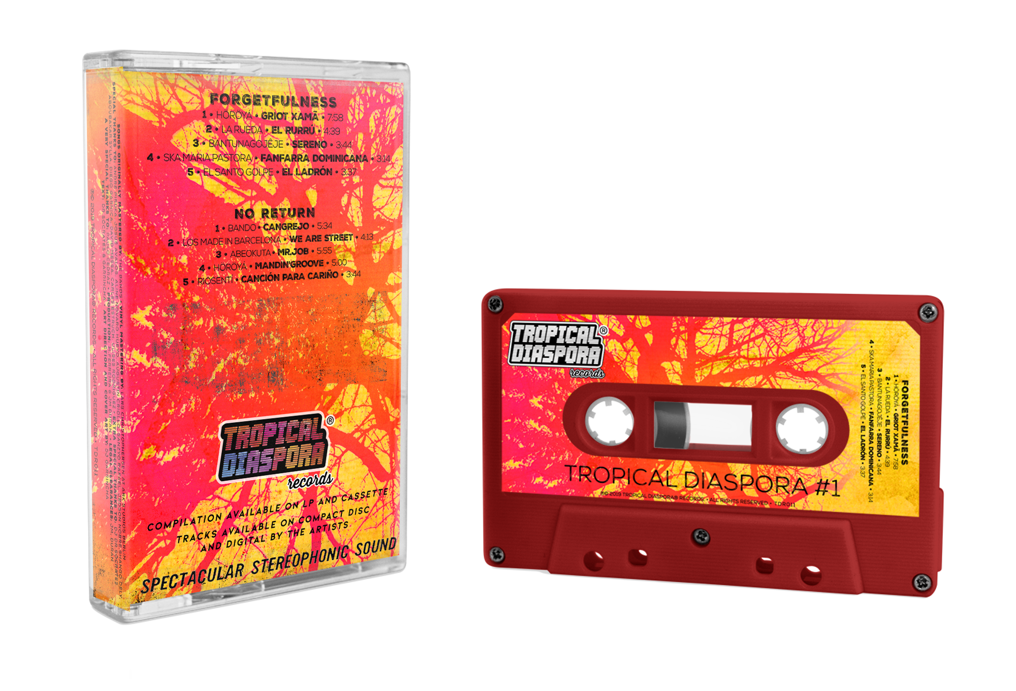 TDR011 K7 Mockup 2000x Back v2 TDR011 K7 Mockup 2000x Back v2