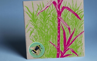 TDR002 Product Front v1 1