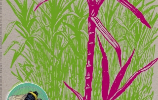 TDR002 200x Front v1