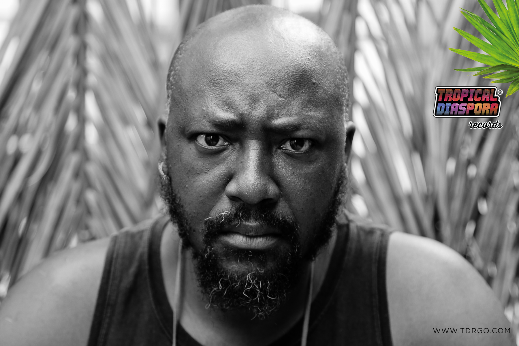 feat artist RENATOGAMA 002